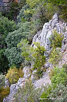 Otra_Foz-4.jpg
