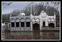 IMG_11572.JPG