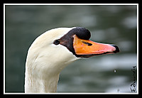 IMG_11681.JPG