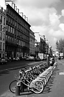 bicis_paris_500pix1.jpg