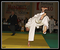 Campeonat_Judo_Catalunya_Tortosa_105.jpg