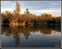 Reflejos40.jpg