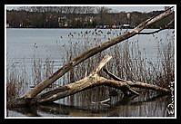 IMG_48372.JPG