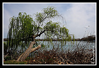 IMG_4880.JPG