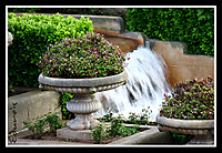 IMG_5361.JPG