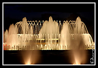 IMG_5509.JPG