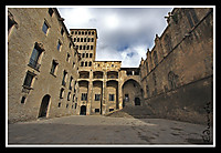 IMG_55581.JPG