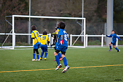 MG_82441.jpg
