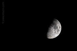 IMG_6093-F8.jpg