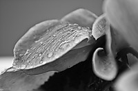 SDIM0137b2.jpg
