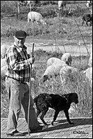 20022011-alcala-15.jpg