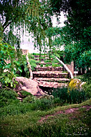 IMG_9658.jpg