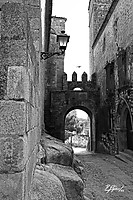 7D_20110425_2711editWeb.jpg