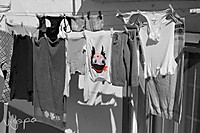 VTE-24042011-1419-Edit.jpg