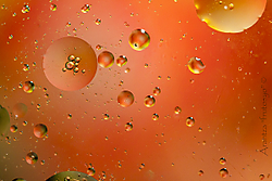 Oil-48.jpg