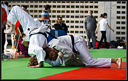 Seoi_nage.jpg