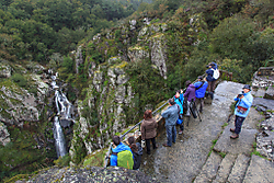 MG_37153.jpg
