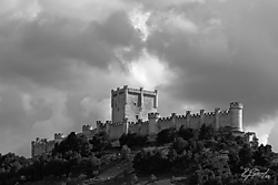 7DValladolid_2012_04_30_0615_1BWRobCWeb.jpg