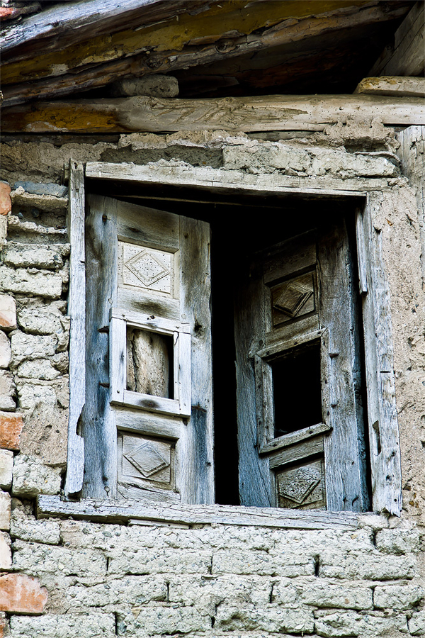 frutosyo_12_g21