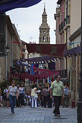frutosyo_07_g21.jpg