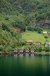 flaam.jpg