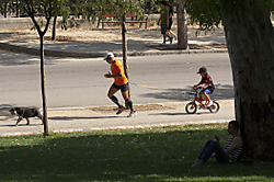 on_tour_02_g24.jpg