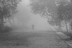 Caminando_bajo_la_niebla.jpg