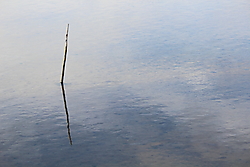 MG_71842.JPG