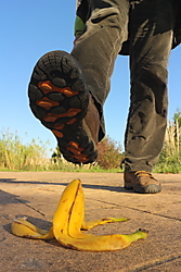 IMG_9464_0010.JPG
