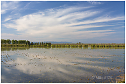 reflejos_en_Delta_del_Ebro_.jpg