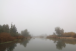 MG_99432.JPG
