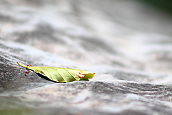 IMG_97573.JPG