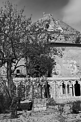 7D-2016_03_25-8389BWresizeWeb.jpg