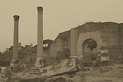 IMG_73651.JPG
