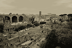 IMG_74004.JPG