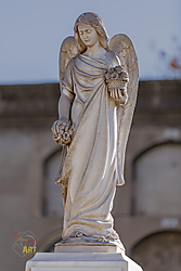MG_68052.jpg