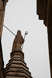 IMG_88031.jpg