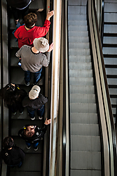 IMG_8866.jpg