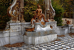 DSCF8249.JPG