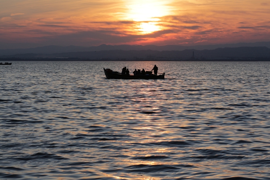 albufera VLC