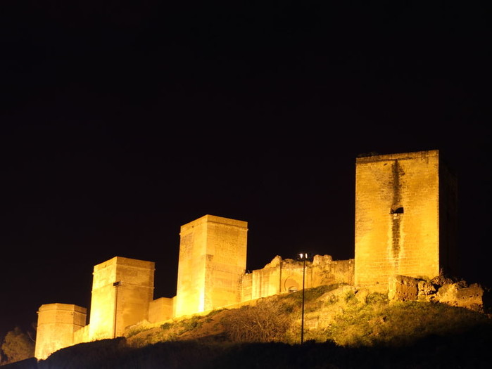 12032011Castillo