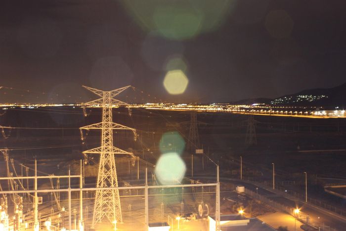 Deslumbrado por un foco de noche