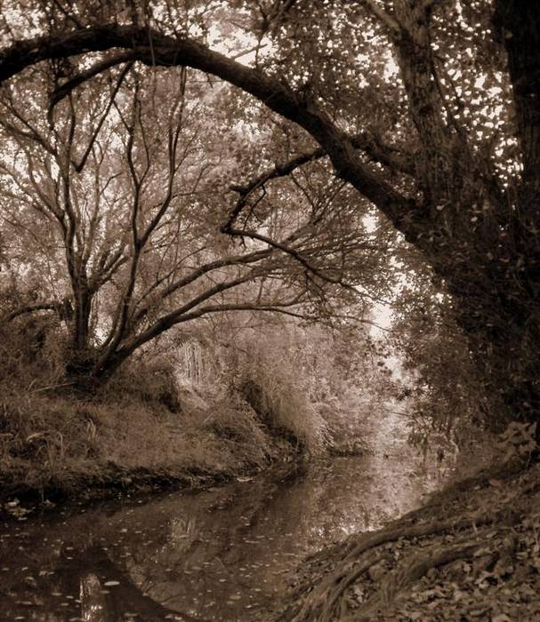 Raices Version Sepia