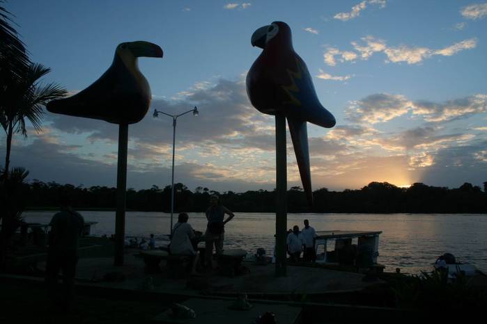 MIRADOR - CANALES PN TORTUGUERO - COSTA RICA