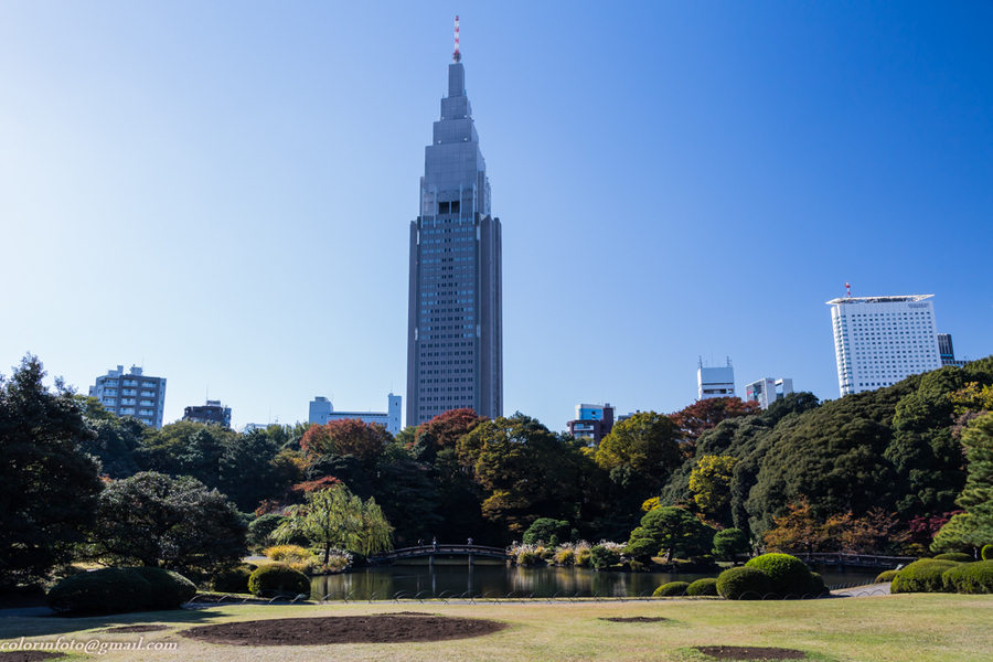 shinjuku gyoen