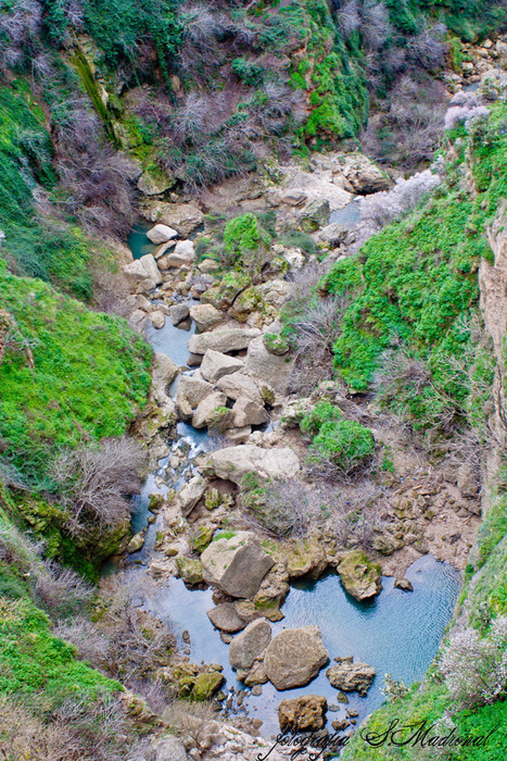 23012011-23012011-IMG_5252