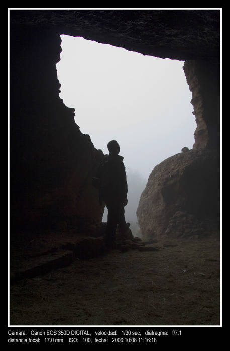 Al abrigo de la niebla...