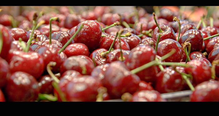 cerezas