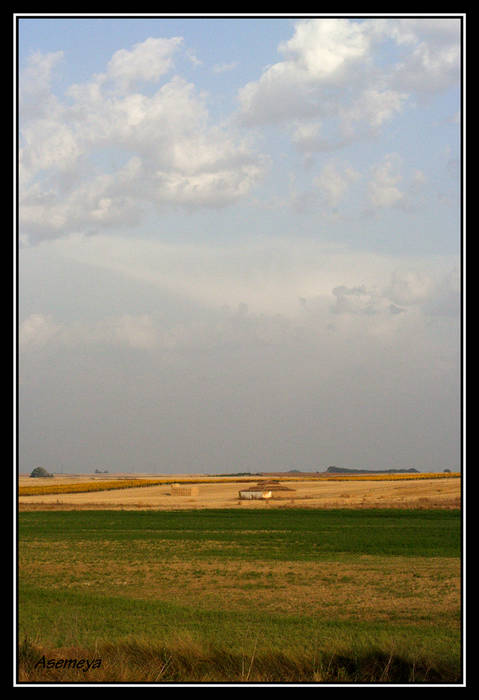 3374186130_666d2a8d89_o