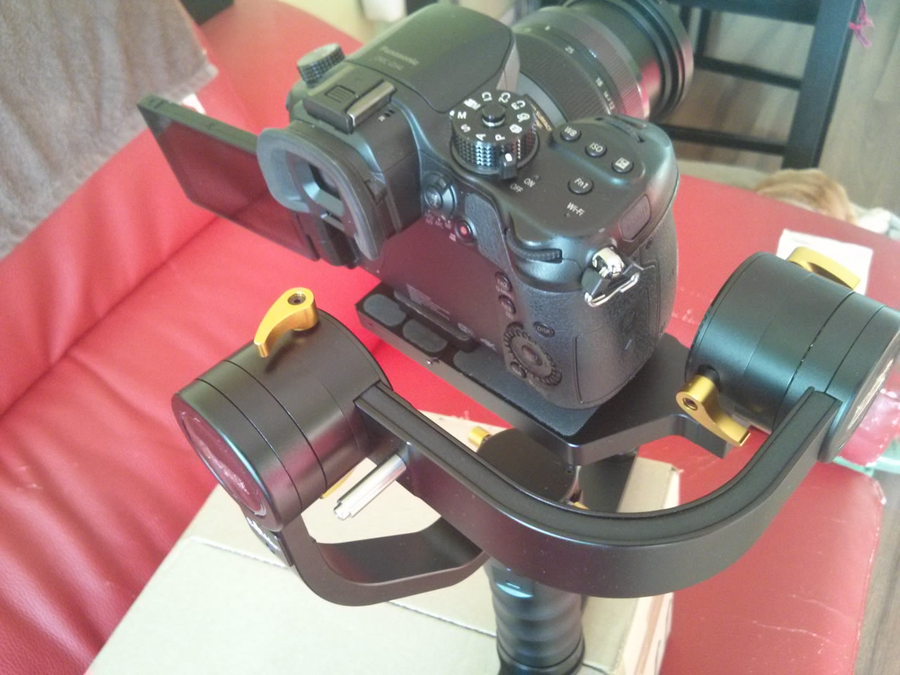 Ikan Beholder DS1 p3